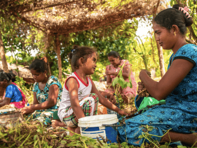 GEDSI x Agro Food Security