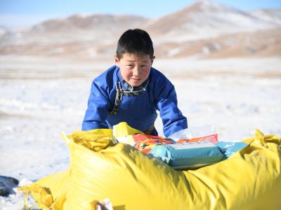 A young Mongolian boy looks at the camera