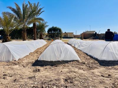 Photo of the Greenhouses supported