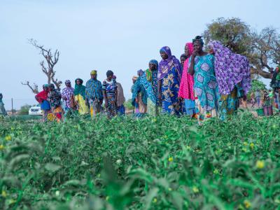 Faced with these realities, the Eco-Agri+ project was implemented to support communities in adapting to climate change, while strengthening their agricultural productivity and resilience. 