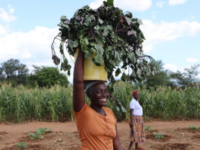 Mushinye Nutrition Garden