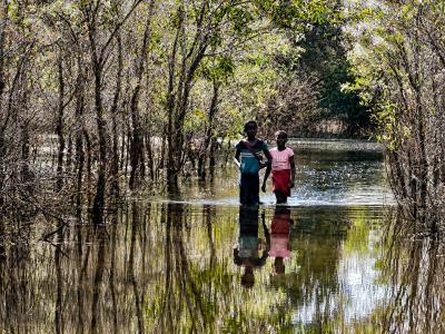 Children Still Walking Through Water