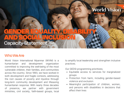 GEDSI Capacity statement 
