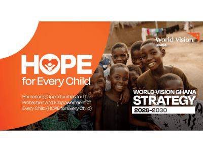 WVG 2030 Strategy Cover.jpg
