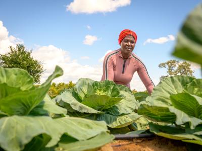 Climate Action, Resilience and Sustainable Livelihoods Capacity Statement 