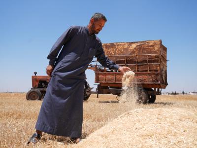 Abdullah* holding freshly harvested wheat in his hands.   
