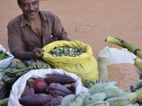 Local Value Chain Development