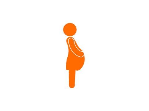 pregnant mother
