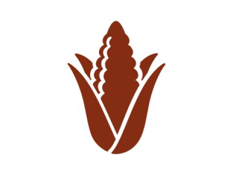 husk of corn icon