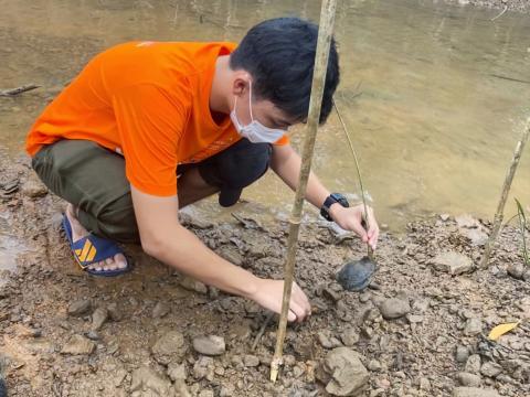 Children planting Mangroves in Thailand