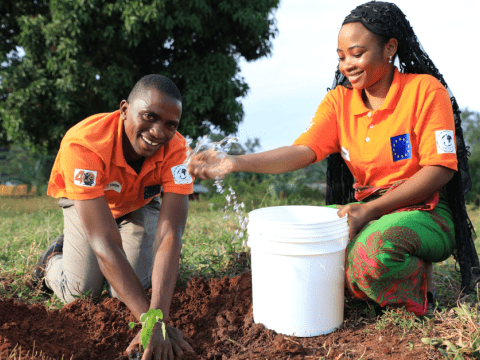 Youth plant new trees in Kenya