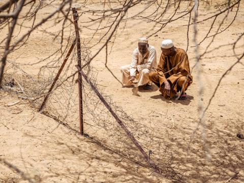 Communities in Niger work to regreen a dry patch of land