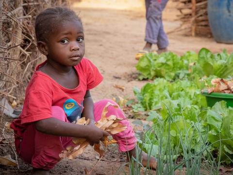 Livelihood, Burkina Faso