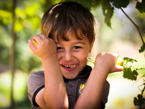 Little boy eating an apple