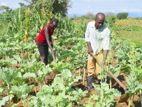 Pastoralists in Kenya embrace dry land farming to fight drought and boost food security