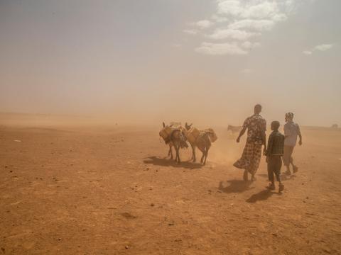 Families walk across a dusty plane in Somalia land to collect water truck in through emergency support
