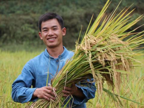 Sustainable agricultural techniques in China