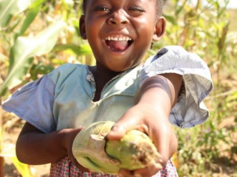 ESCA Strategic Roadmap Cover Photo