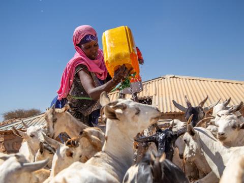 providing water to live stock