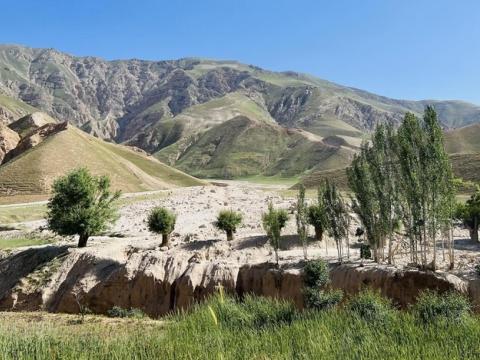 Selecting landscape