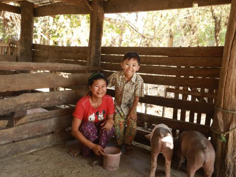 Livelihood-2