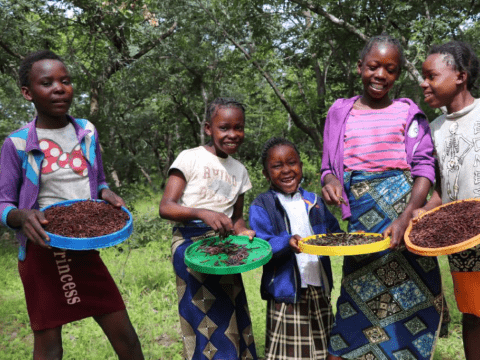 Youth Led Forest Change Monitoring Technology