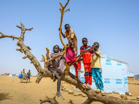 Sudanese refugee children climb on tree trunk next to the Child Friendly Space in Mile Refugee Camp, Guerera, Chad, while another boy on a donkey carrying a water can rides by.