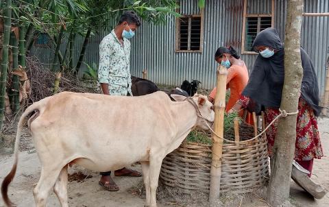 Panna, mother and wife in Bangladesh has benefited and flourished through the recipient of animals