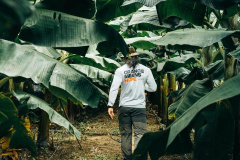 WV staff in an avocado field
