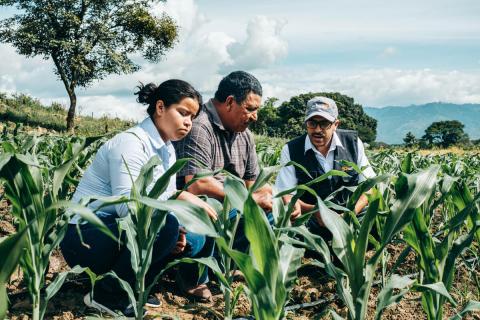 Farmer from Honduras participating in FMNR