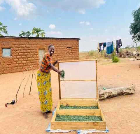 Pili showcasing their solar dryer innovation