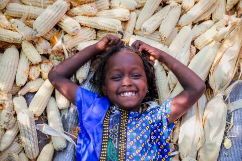 Tamiro smiling in laying in corn 