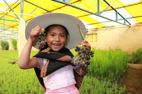 Productive Transformation in the Andes: Agroforestry as a Driver of Development in Bolivia