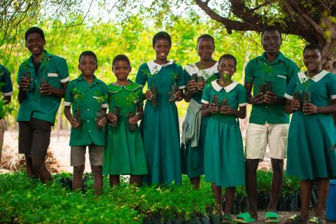 Climate change and FMNR in Malawi