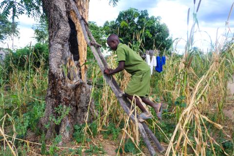 From Tears to Triumph: Tinashe learns to smile again