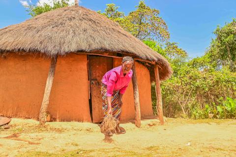 Once barren, Irene’s land now provides enough grass to support her household, including thatching her kitchen roof.©World Vision Photo/Hellen Owuor