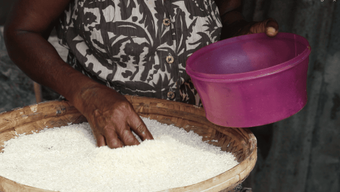 Salfina holds a sieve filled with rice.