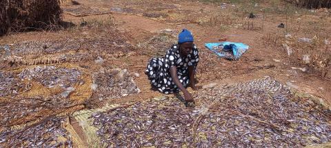Abuk_drying fish