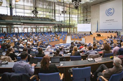 Bonn Plenary 
