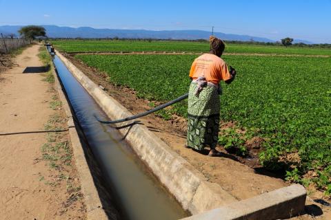 Flora drawing water from an irrigation canal.