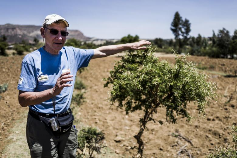 Tony Rinaudo explains FMNR by tree