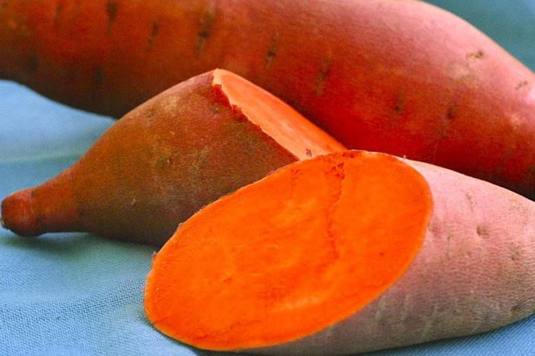 Reducing micronutrient deficiency through growing orange flesh sweet potatoes in Buikwe Uganda. World Vision Uganda Resilience and Livelihoods Farming as business. Health and Nutrition