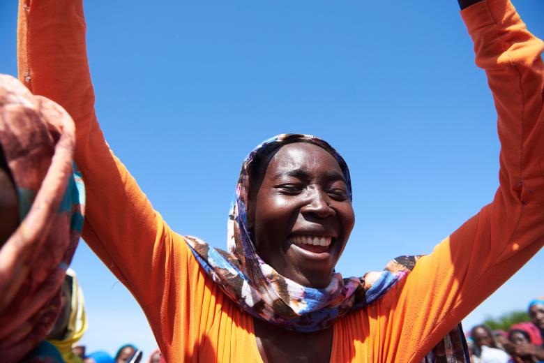 Supporting peace in the Darfur region.