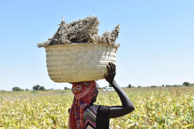 42-year-old Fatima seen here at her group's seed multiplication farm in Mershing locality, South Darfur.