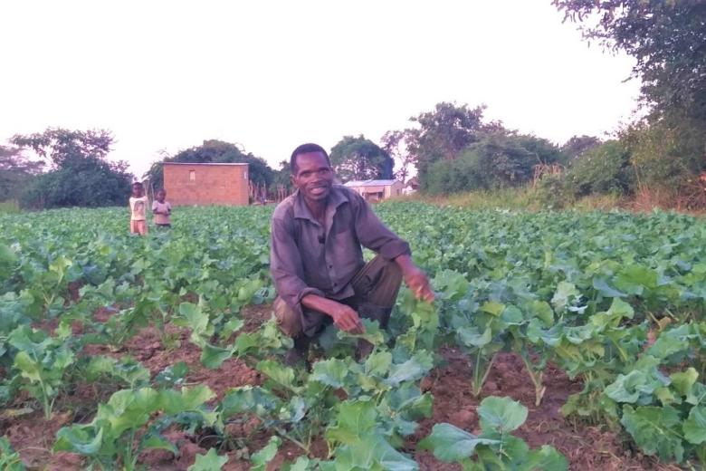 Cosmas in his field