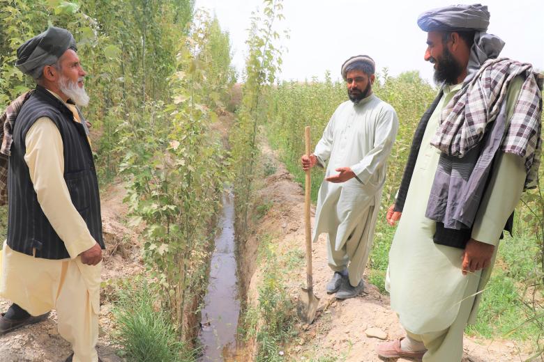 Kariz helped farmers