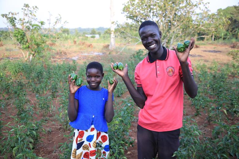 Bell pepper garden restores Faima's hopes