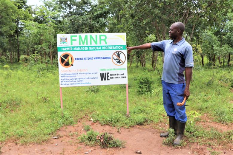 FMNR field