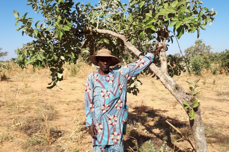 Daouda in his farm