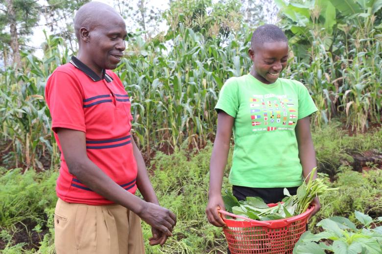 joy and harvest 